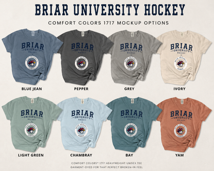 Briar University- OFF Campus