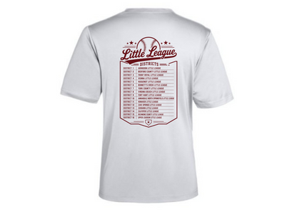 VA Allstar Little League Tournament